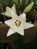 [5071 Richmond No02.JPG]